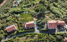 In Vino Veritas