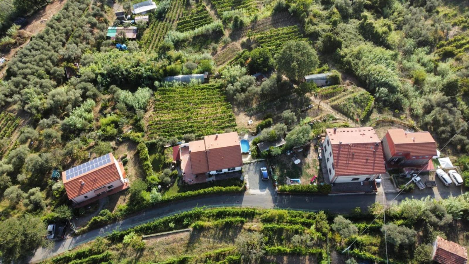 In Vino Veritas Arcola Ngoại thất bức ảnh