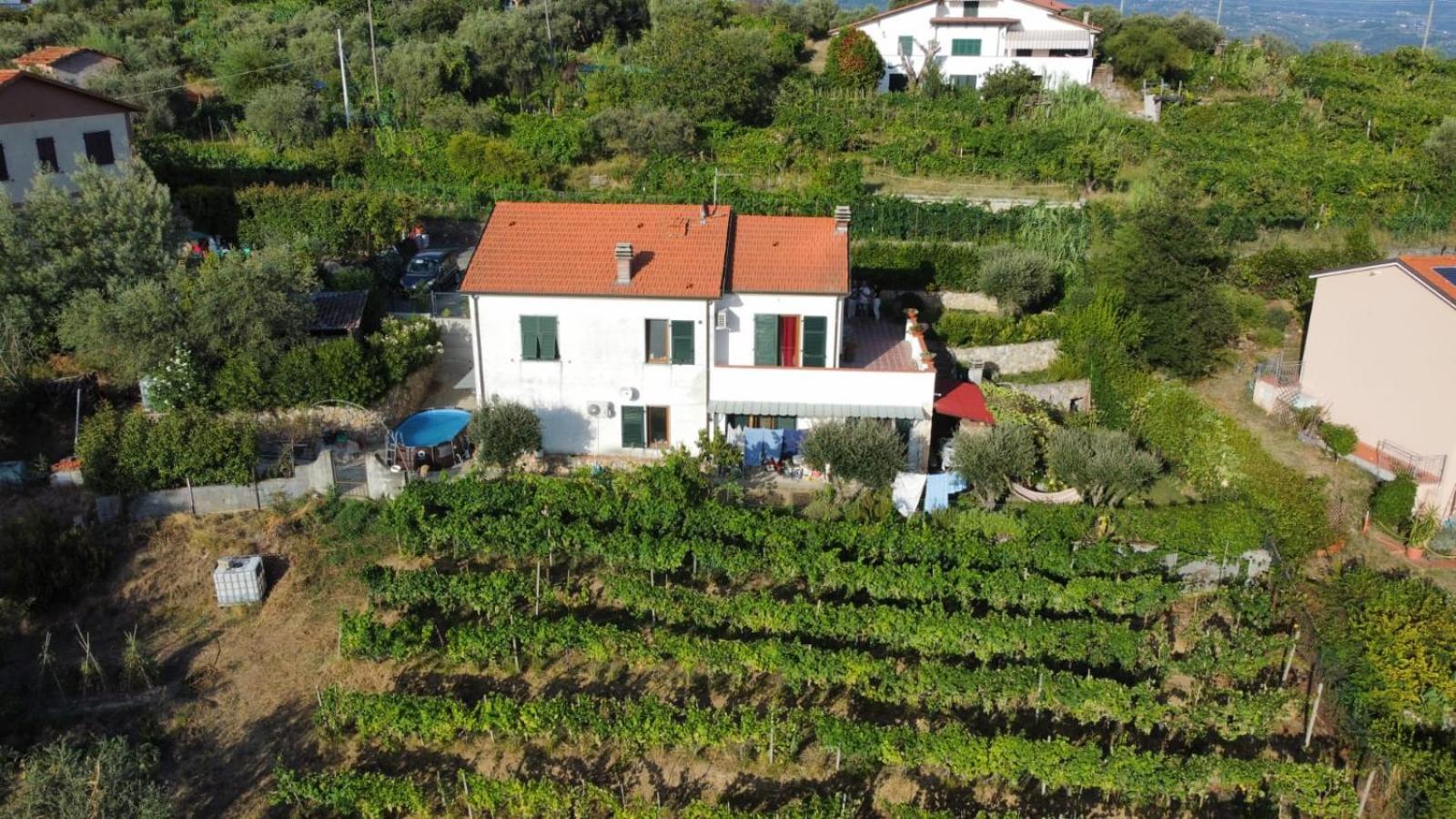 In Vino Veritas Arcola Ngoại thất bức ảnh